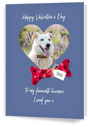 Valentine's Day Cards for Pets