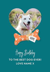 Tap to view To the Dog Ever photo Birthday Card