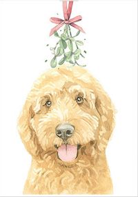 Tap to view Cockapoo Cute Christmas Card