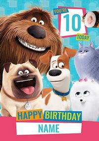 Tap to view Secret Life Of Pets Age 10 Personalised Card