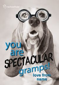 Tap to view Bassett Hound Spectacular Gramps Personalised Card