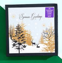 Tap to view Premium Boxed Winter Scene Christmas Card Set - Pack of 20
