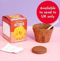 Tap to view October Grow Your Own Birth Flower Kit - Marigold