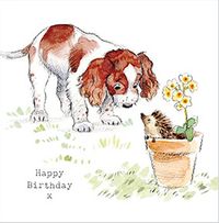 Tap to view Birthday Spaniel Cute Card