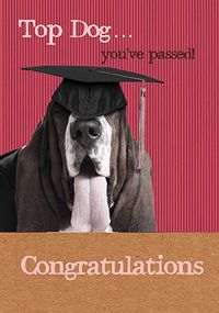 Tap to view Congratulations You've Passed - Top Dog Card