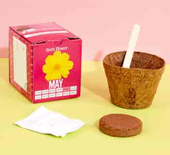 May Gifts