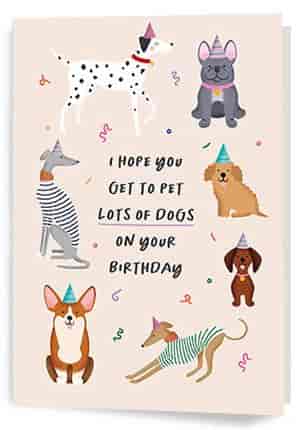 Animals Birthday Cards