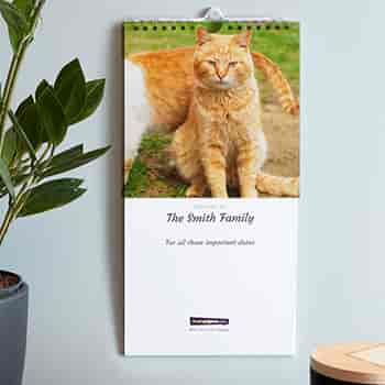 Photo calendar 2023