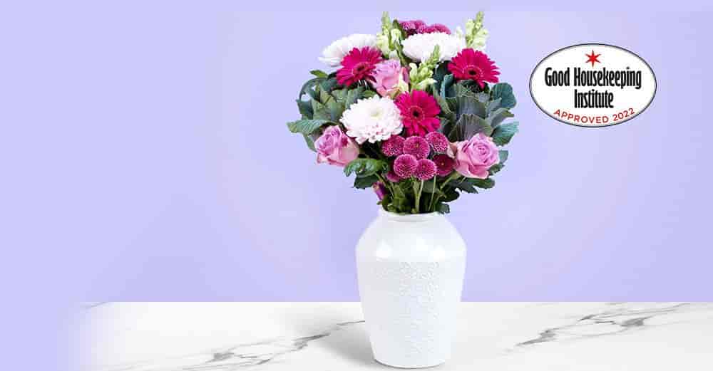 Send Plants & Flowers Online Next Day Delivery Funky Pigeon