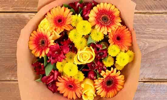 Types of Flowers