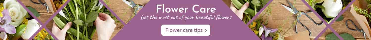 Flower Care
