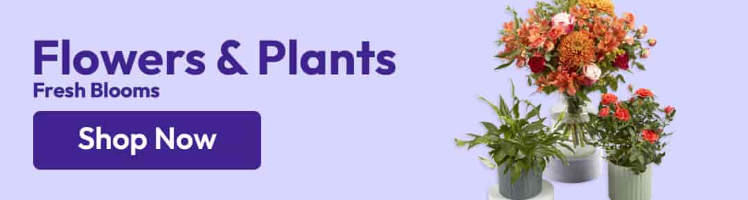 Flowers and Plants