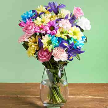 Flowers & Plants