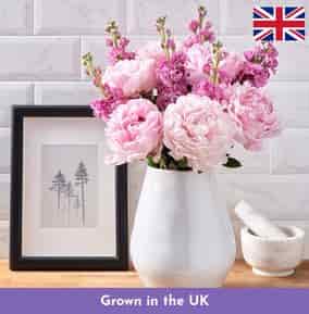 Flowers & Plants