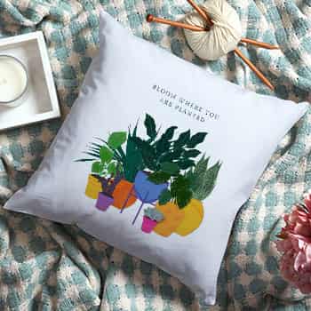 Cushions