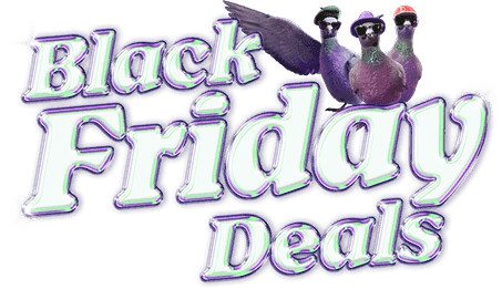 Up to 50% Off Festive Touches & Calendars