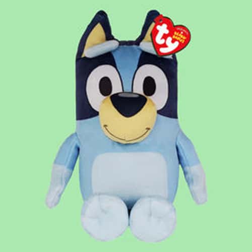 Shop Bluey Birthday Cards