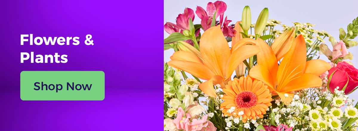 Shop Flowers & Plants