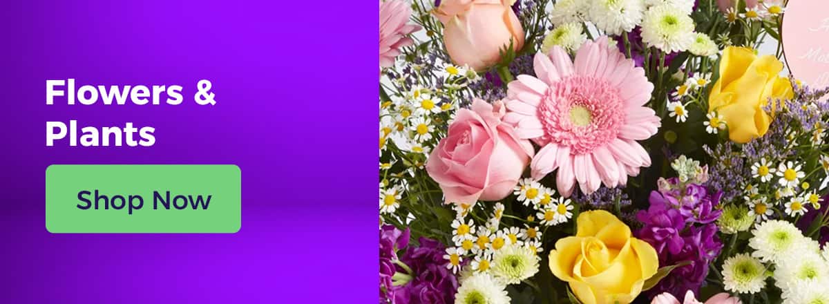 Shop All Mother's Day Flowers