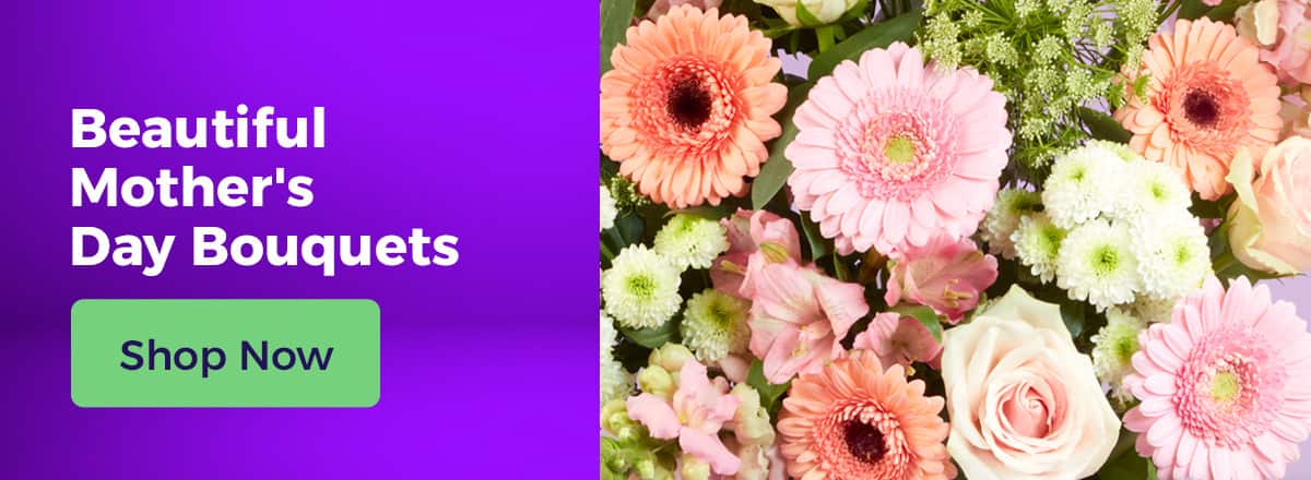 Shop All Mother's Day Flowers