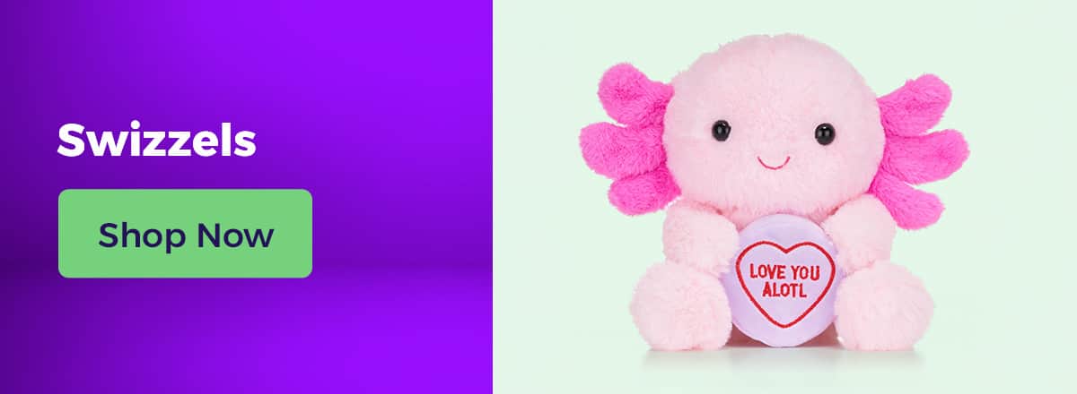 Shop All Swizzels Gifts