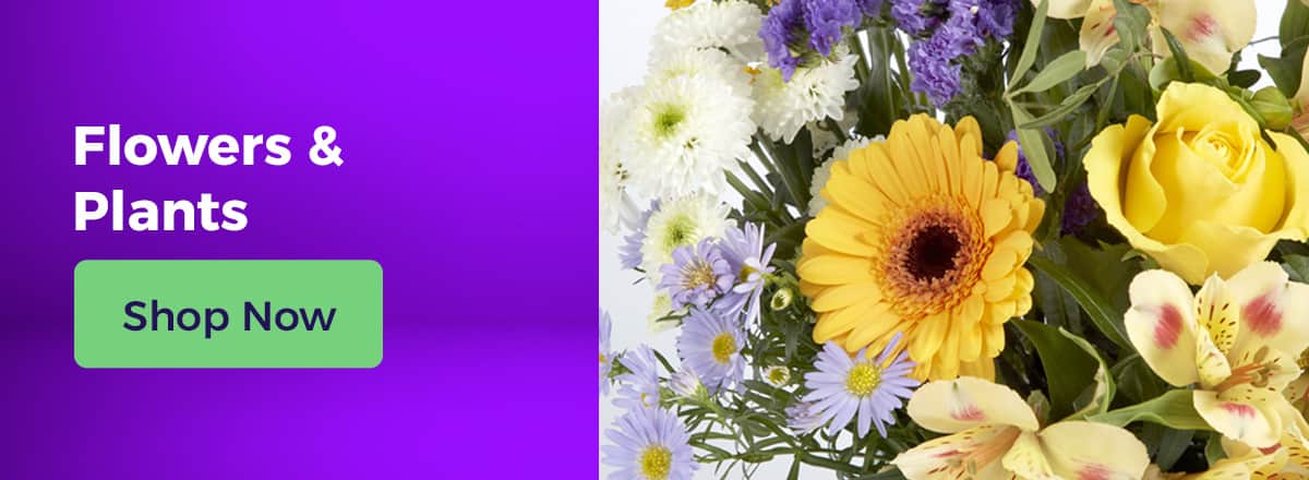 Shop Flowers