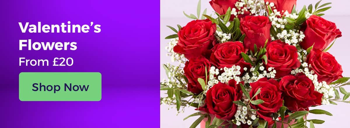 Shop All Valentine's Day Flowers