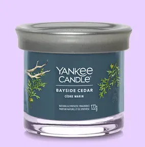 Yankee Candle Small Bayside Cedar
