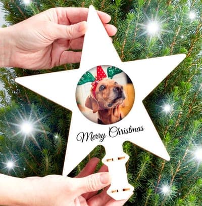Pet Photo Tree Topper