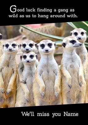 Meerkat Leaving Card Well Miss You
