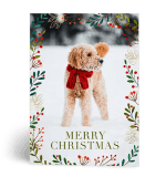 christmas card