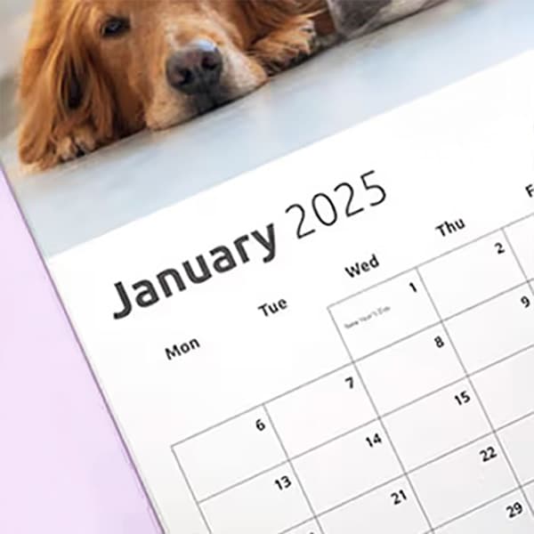 Customise Your Calendar
