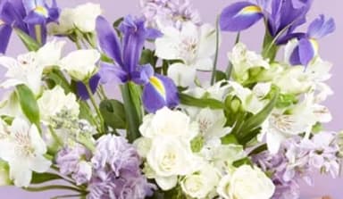 Letterbox Flowers