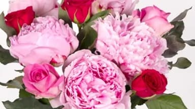 Flowers Under £30