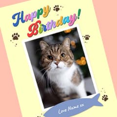 Pets Birthday Cards Cards