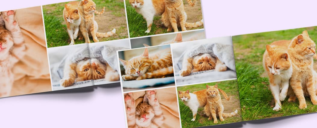 Create the Perfect Layout