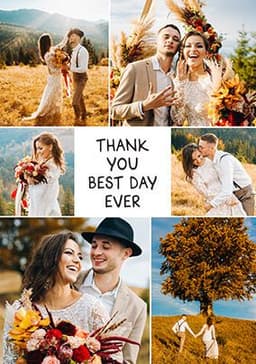 Thank You Cards