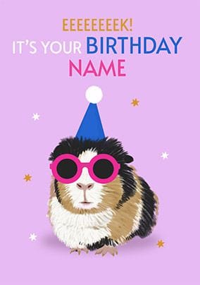 Animals Cards