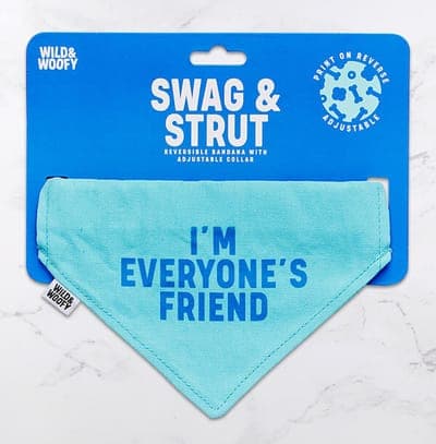 Reversible Bandana Everybodys Friend