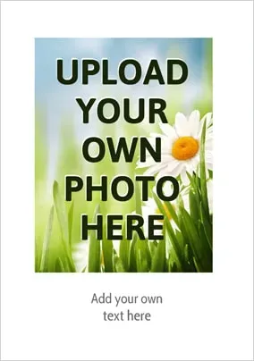 Basic White Frame Portrait