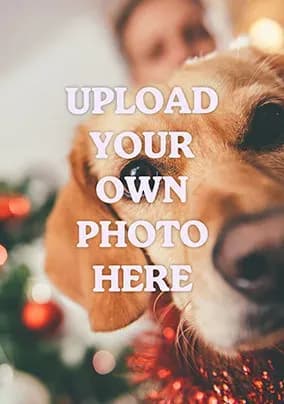 Full Photo Portrait Christmas Card