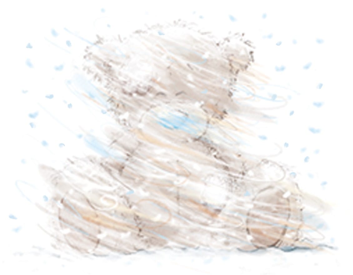 me to you snow bear