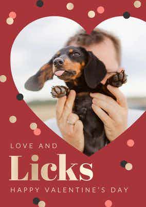 Valentine's Cards From Pets