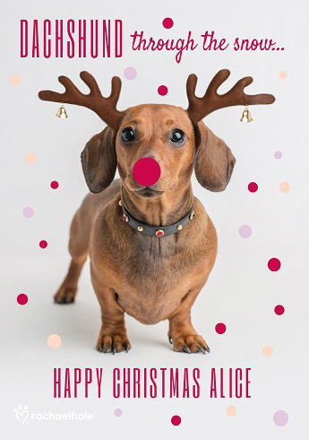 Dachshund Christmas card