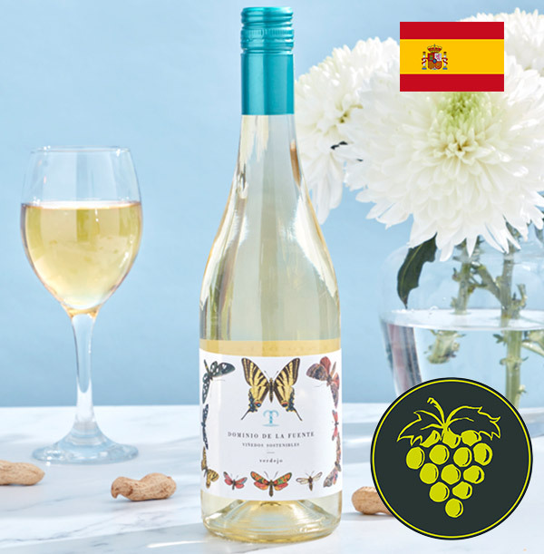 Dominio de La Fuente Organic Verdego White Wine