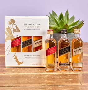 Johnnie Walker Whisky Miniature Taster Set