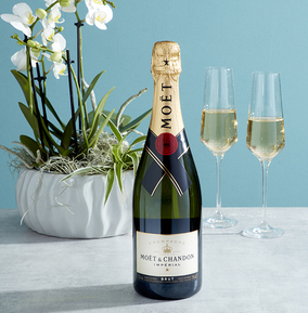 Moët & Chandon Brut Imperial Champagne