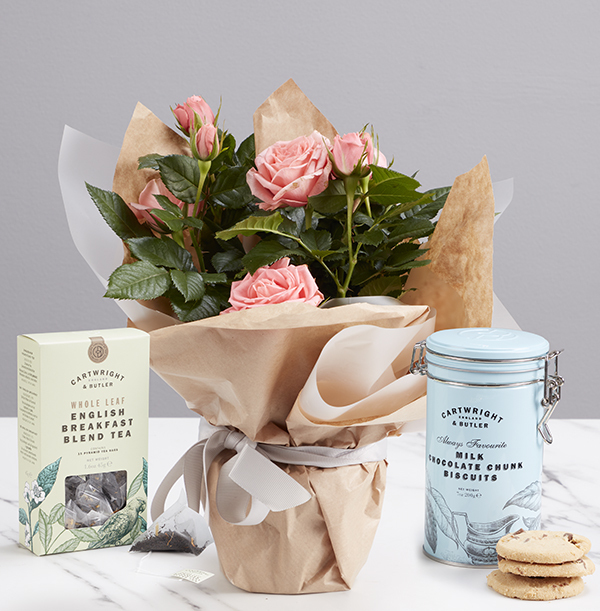 Afternoon Tea Rose Gift Set Funky Pigeon