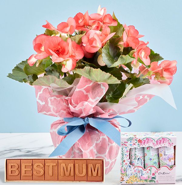 product image gallery_0