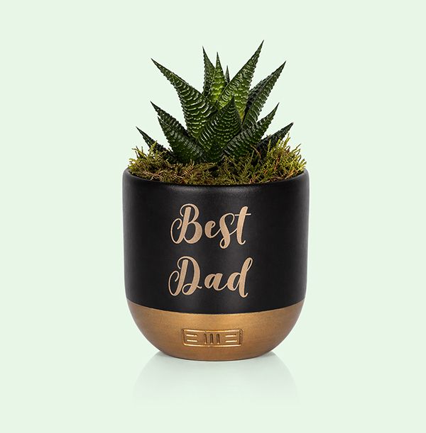 Product image gallery_0